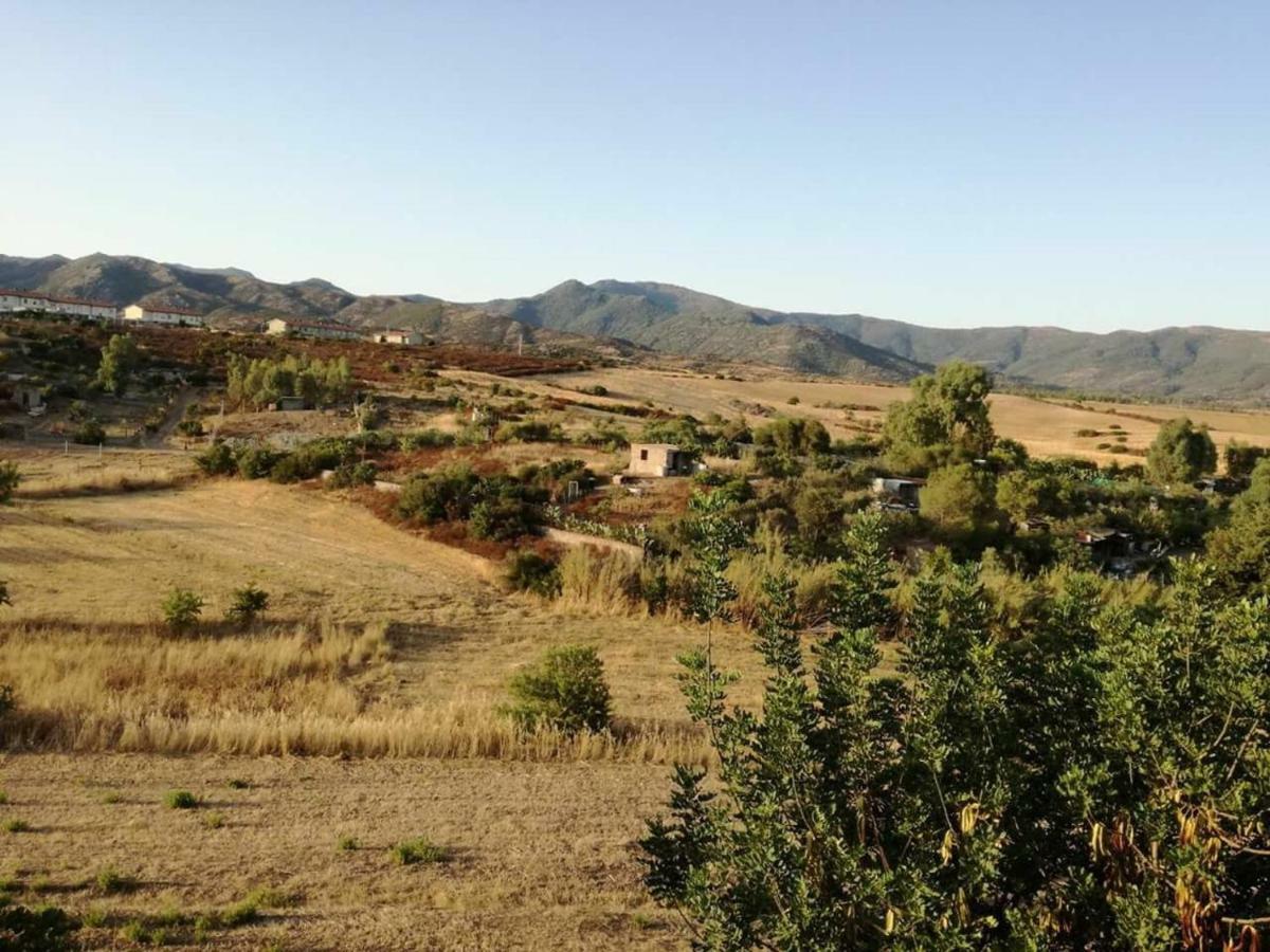 Casa Vacanza Il Mandorlo Domusnovas Exteriör bild