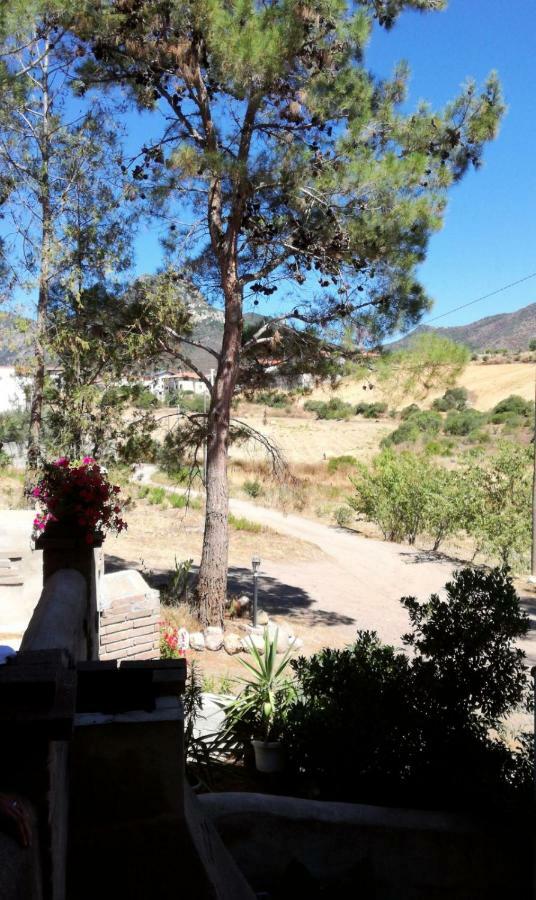 Casa Vacanza Il Mandorlo Domusnovas Exteriör bild