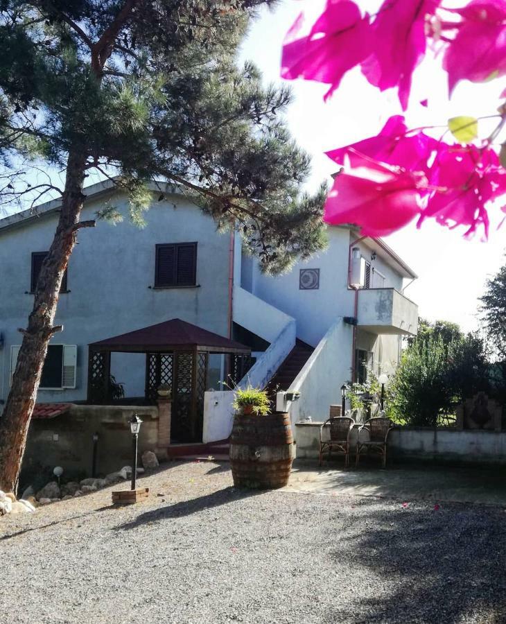 Casa Vacanza Il Mandorlo Domusnovas Exteriör bild